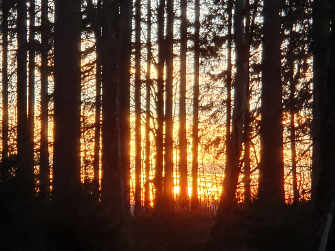 Trauerarbeit mit Malerei