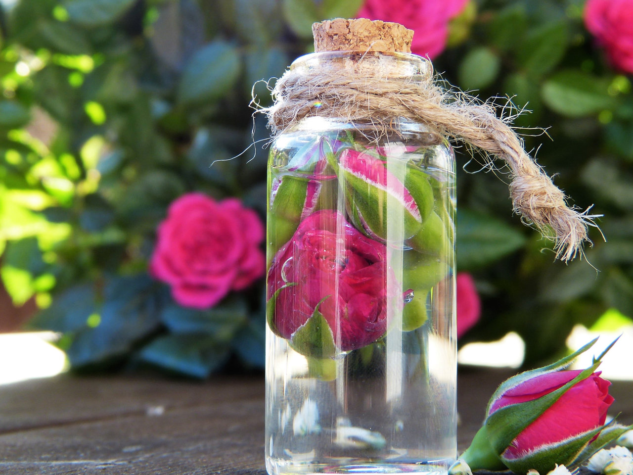 Gefühle fühlen mit ätherischen Ölen