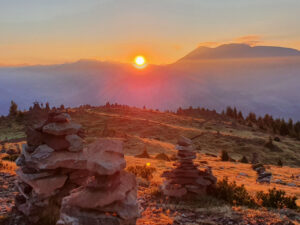Sonnenlicht: Wichtig für deine ganzheitliche Gesundheit
